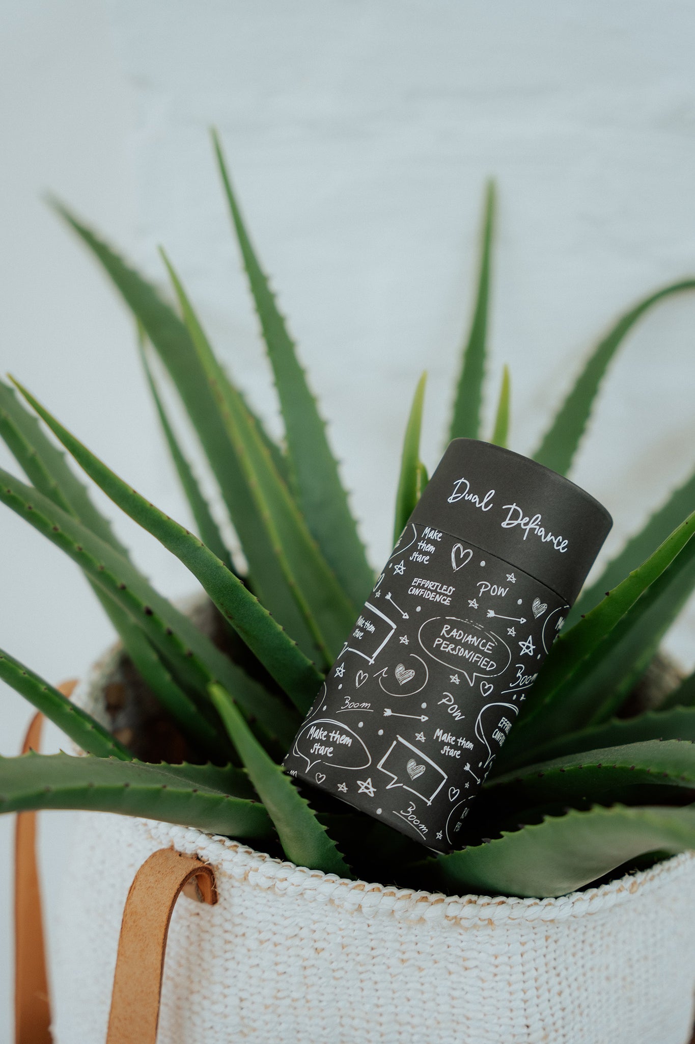 Eine Aloe-Verapflanze in einer Leinentasche mit Lederhenkel. Auf der Pflanze liegt eine schwarze Paper Tube Verpackung von mit weißen Kritzeleien und Sprüchen und Dual Defiance Logo auf dem Deckel.